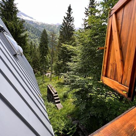 ~Chalet_Rifugio Tra I Boschi~ Sella Nevea Exterior photo
