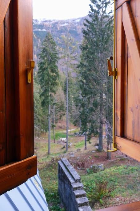 ~Chalet_Rifugio Tra I Boschi~ Sella Nevea Exterior photo