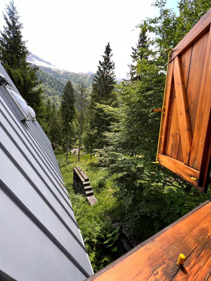 ~Chalet_Rifugio Tra I Boschi~ Sella Nevea Exterior photo