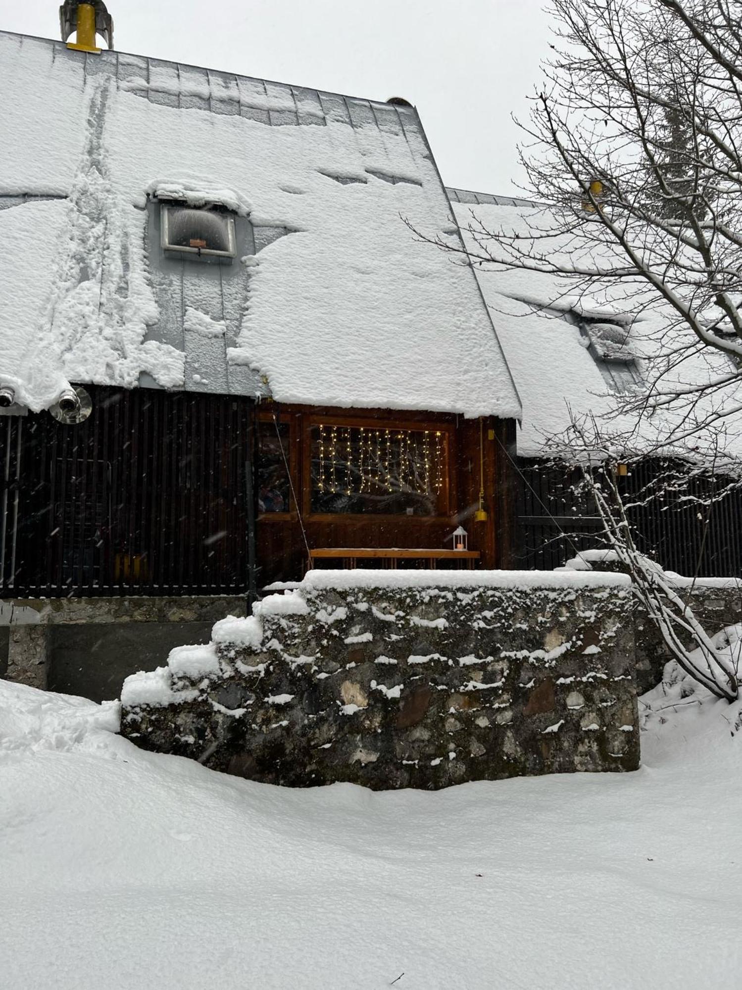 ~Chalet_Rifugio Tra I Boschi~ Sella Nevea Exterior photo