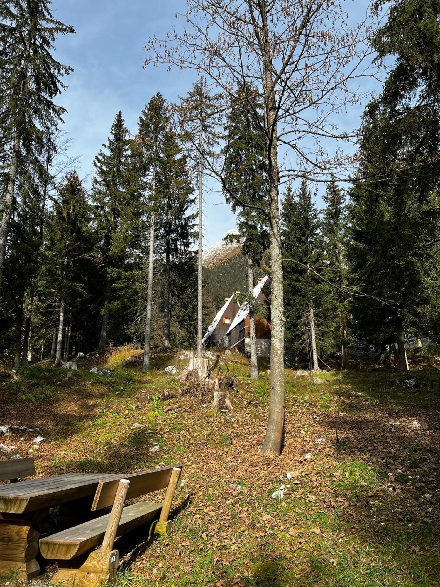 ~Chalet_Rifugio Tra I Boschi~ Sella Nevea Exterior photo