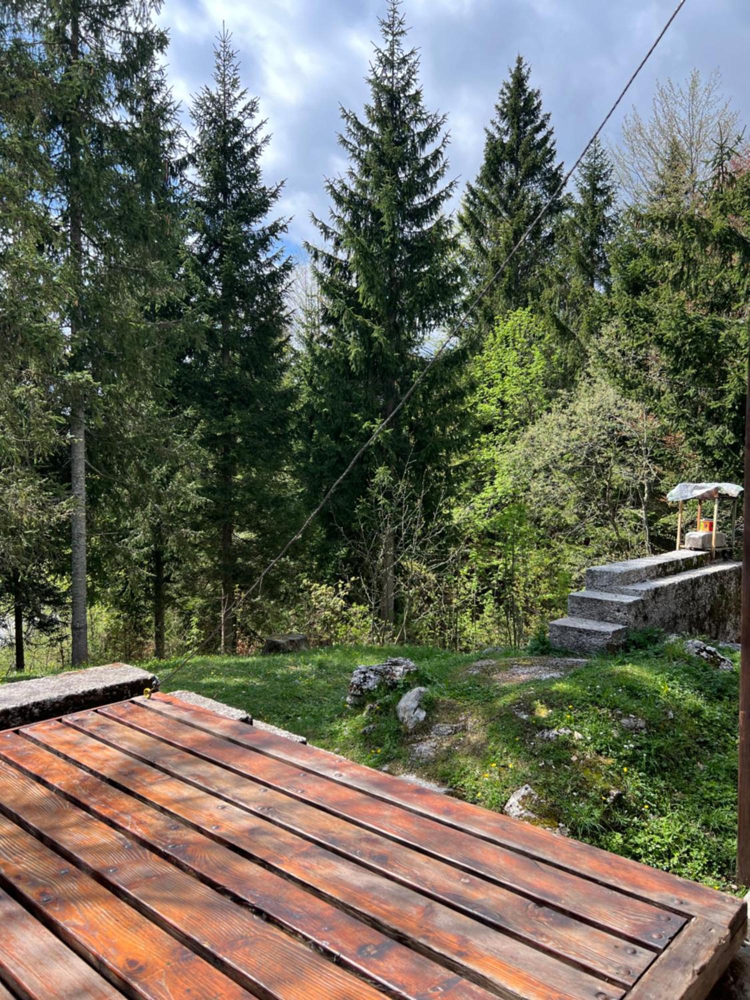 ~Chalet_Rifugio Tra I Boschi~ Sella Nevea Exterior photo